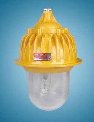 BFC8130內場防爆燈 廠家直供，守護高危場所的光明衛士